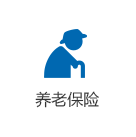 养老保险